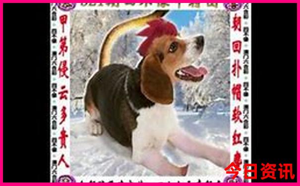 中国十大景点排名